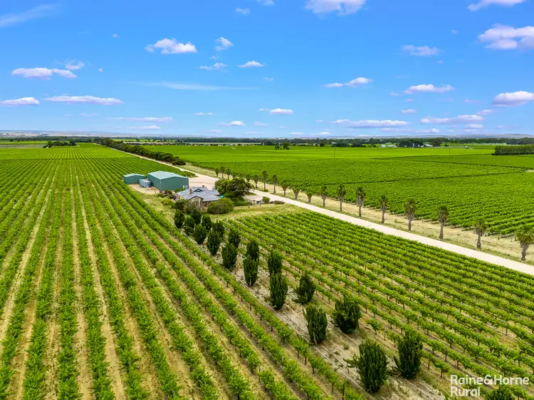 1315 A&B Langhorne Creek Road, Langhorne Creek SA 5255