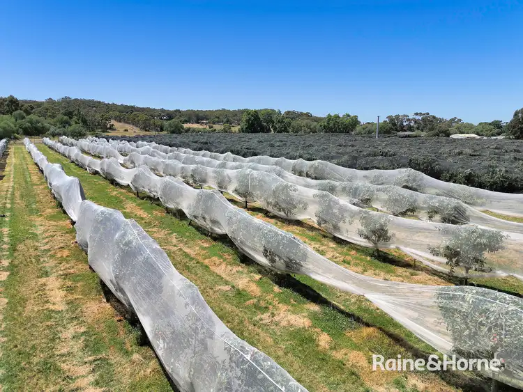 Fourth view of Homely land listing, 31 Lerderderg Gorge Road, Darley VIC 3340