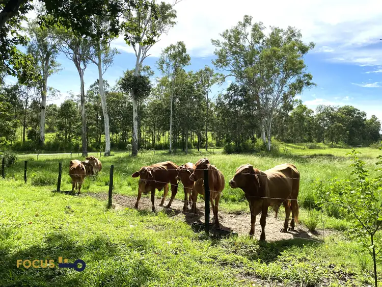 Second view of Homely rural property listing, 114 East Funnel Creek Road, Sarina Range QLD 4737
