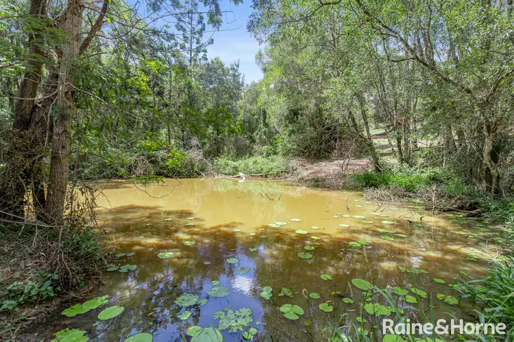 Third view of Homely house listing, 31 Donnellys Road, Ridgewood QLD 4563