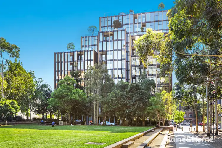 103/8 Central Park Avenue, Chippendale NSW 2008