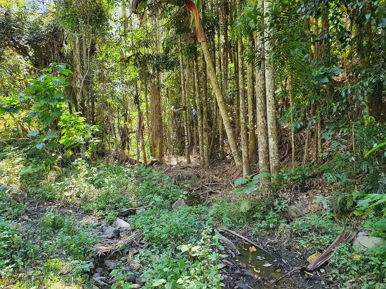 Fifth view of Homely land listing, Lot 486 Windermere Road, Sandy Creek QLD 4515