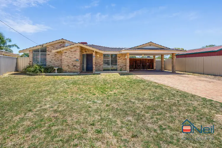 19 Denning Court, Seville Grove WA 6112