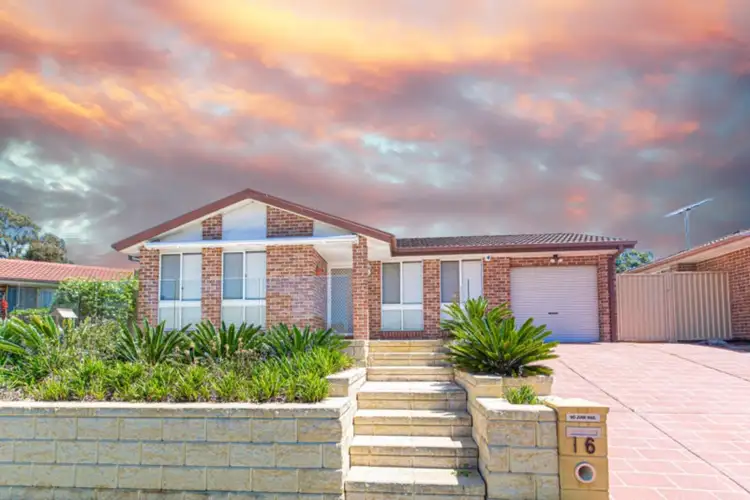 Main view of Homely house listing, 16 Martin Grove, Colyton NSW 2760