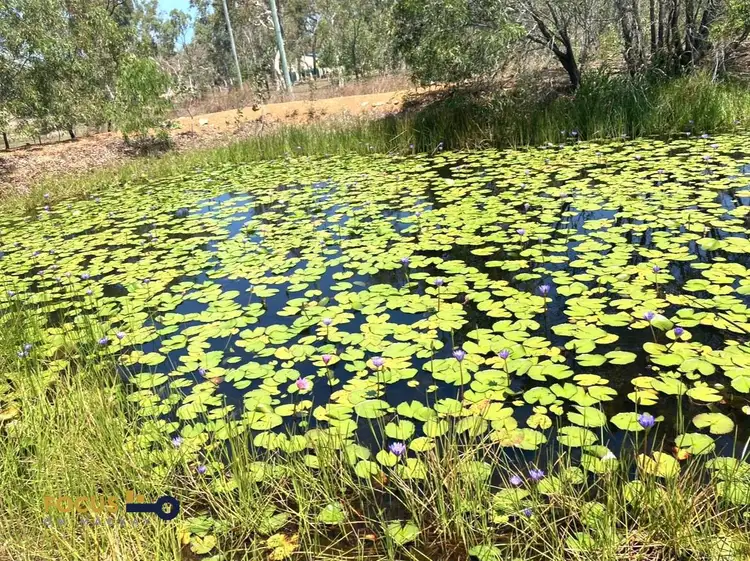 Second view of Homely land listing, 771 Greenhill Road, Ilbilbie QLD 4738