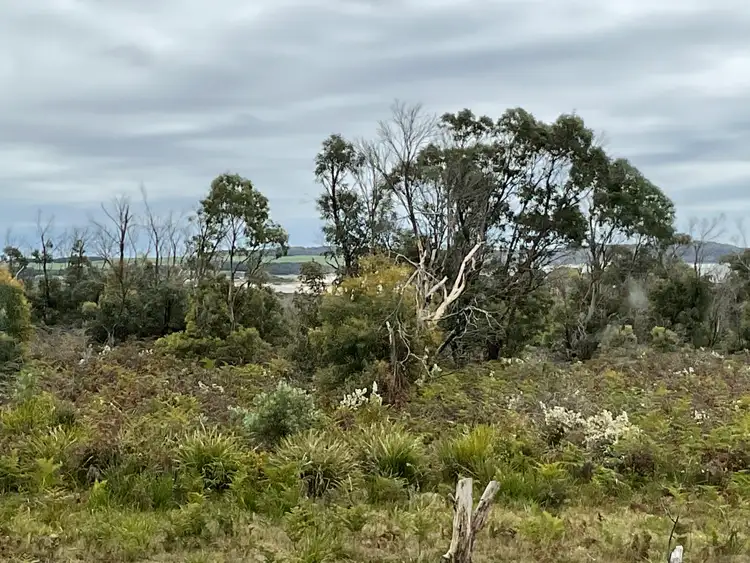 Fifth view of Homely house listing, 132 Richard Street, Bridport TAS 7262