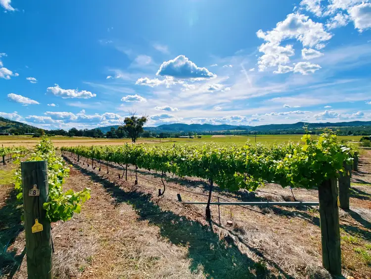Fourth view of Homely rural property listing, 772 Back Kootingal Road, Tamworth NSW 2340