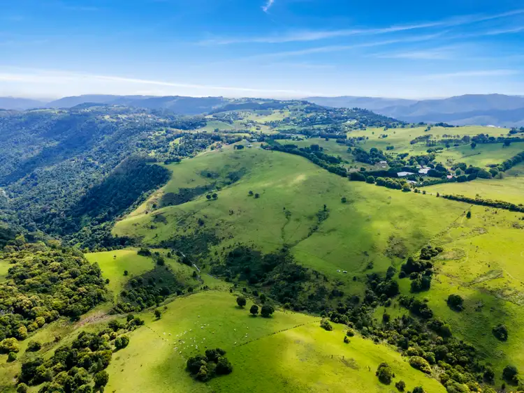 Seventh view of Homely rural property listing, 521 Southwest Road, Beechmont QLD 4211