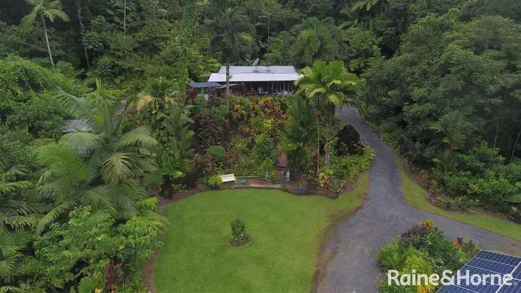 Second view of Homely house listing, 21 Zena Close, CAPE TRIBULATION, Daintree QLD 4873