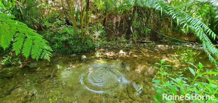 Third view of Homely house listing, 21 Zena Close, CAPE TRIBULATION, Daintree QLD 4873