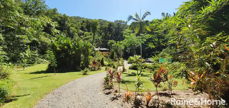 Fourth view of Homely house listing, 21 Zena Close, CAPE TRIBULATION, Daintree QLD 4873