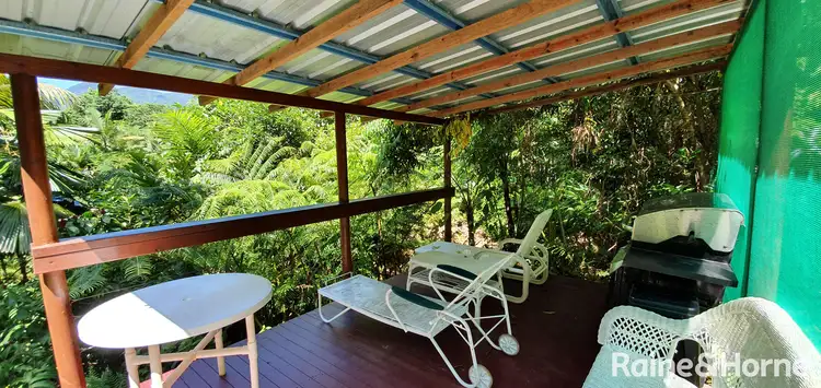 Fifth view of Homely house listing, 21 Zena Close, CAPE TRIBULATION, Daintree QLD 4873