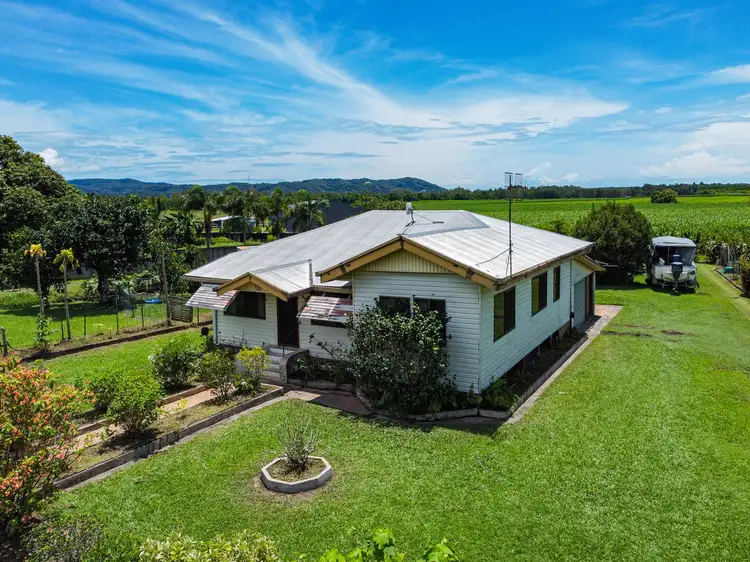 Main view of Homely house listing, 608 Mossman Daintree Road, Miallo QLD 4873