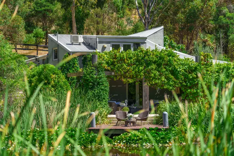 Main view of Homely rural property listing, 730 Clonbinane Road, Clonbinane VIC 3658
