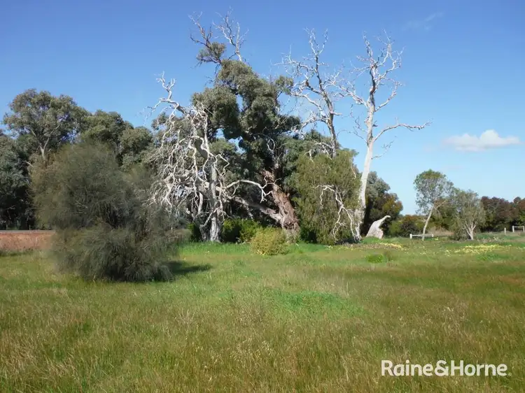 Sixth view of Homely land listing, Section 187 Flinders Highway, Wangary SA 5607