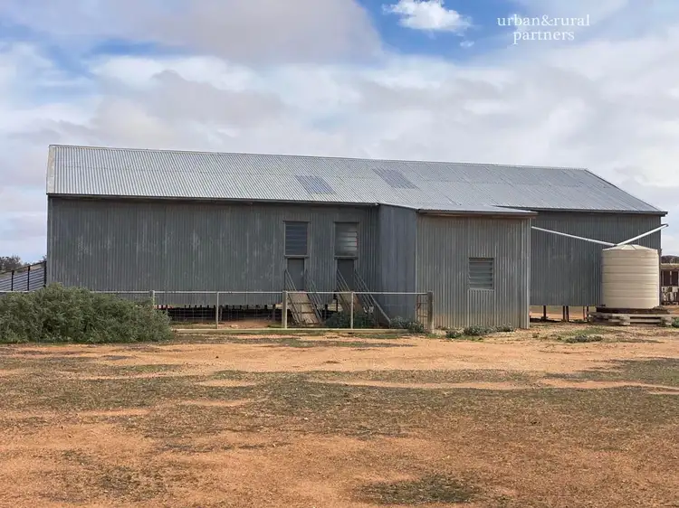 Sixth view of Homely rural property listing, 7795 Goyder Highway, Morgan SA 5320
