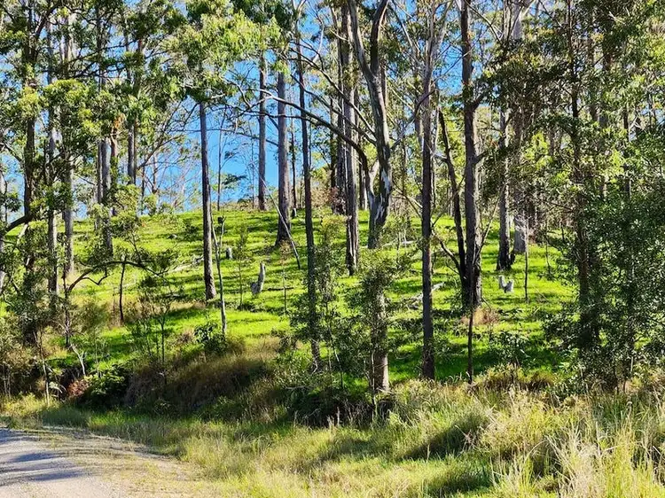 Fourth view of Homely land listing, Bellthorpe West Road, Conondale QLD 4552