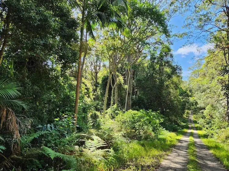 Sixth view of Homely land listing, Bellthorpe West Road, Conondale QLD 4552