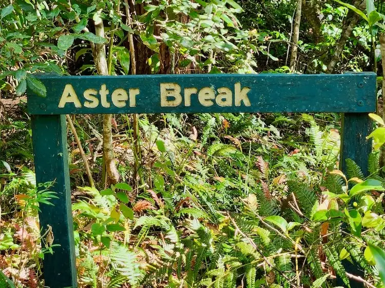 Seventh view of Homely land listing, Bellthorpe West Road, Conondale QLD 4552