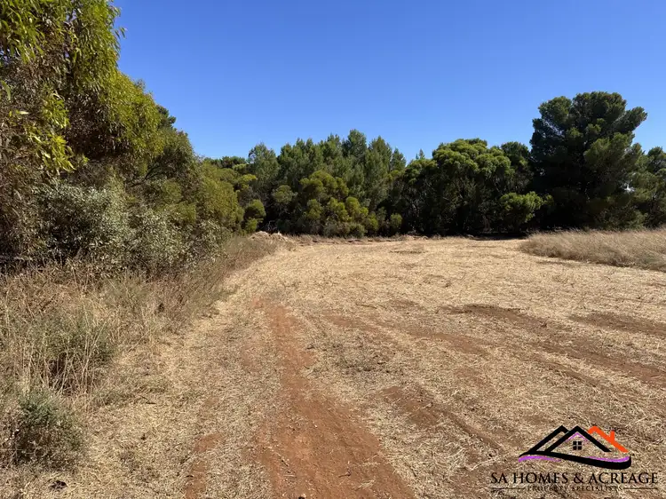 Main view of Homely land listing, LOT 174 Main Road, Robertstown SA 5381