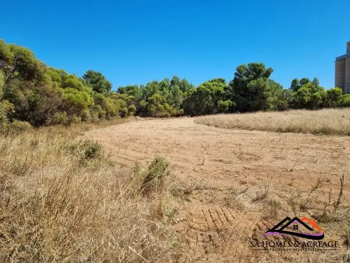 Second view of Homely land listing, LOT 174 Main Road, Robertstown SA 5381