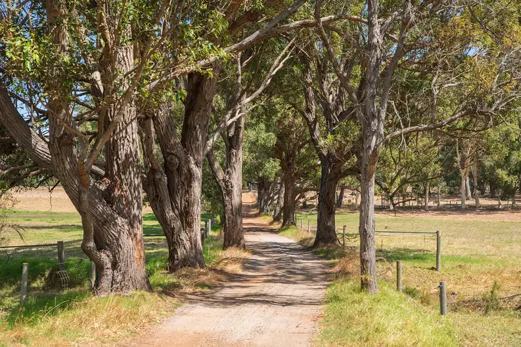 Second view of Homely rural property listing, 85 Thomson Road, Bramley WA 6285