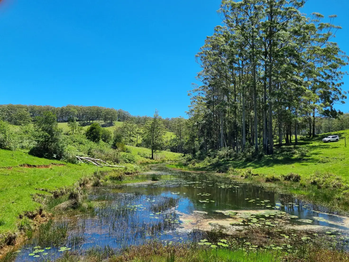 Main view of Homely land listing, 539-605 Bellthorpe West Road, Bellthorpe QLD 4514