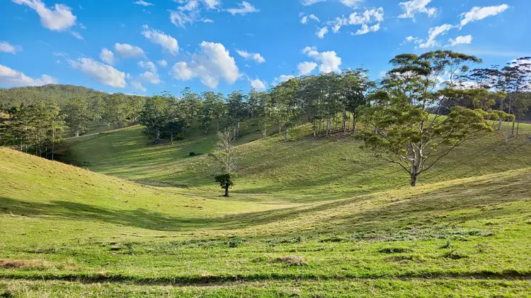 Second view of Homely land listing, 539-605 Bellthorpe West Road, Bellthorpe QLD 4514
