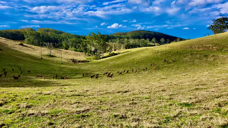 Third view of Homely land listing, 539-605 Bellthorpe West Road, Bellthorpe QLD 4514