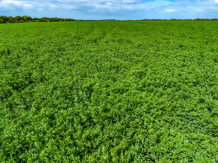 Fourth view of Homely rural property listing, 219 Skewes Road, Goolwa SA 5214