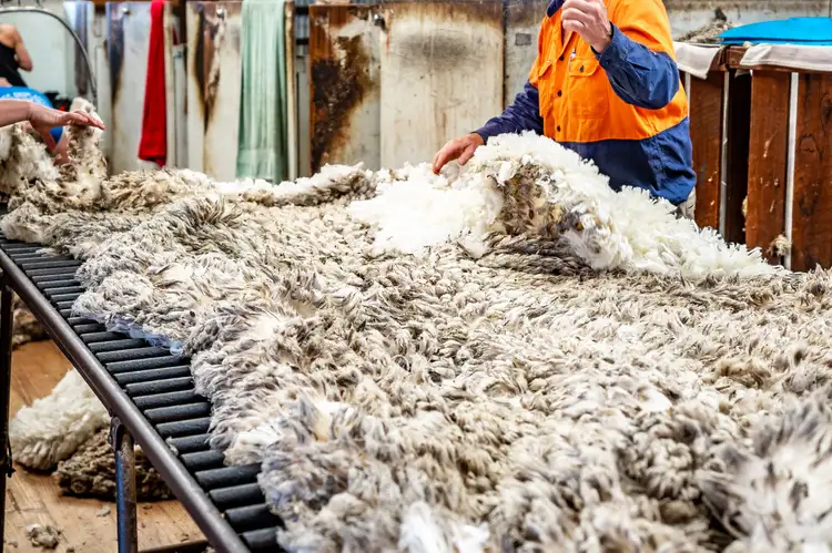 Fifth view of Homely rural property listing, 219 Skewes Road, Goolwa SA 5214