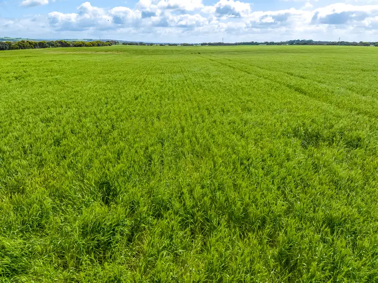 Sixth view of Homely rural property listing, 219 Skewes Road, Goolwa SA 5214