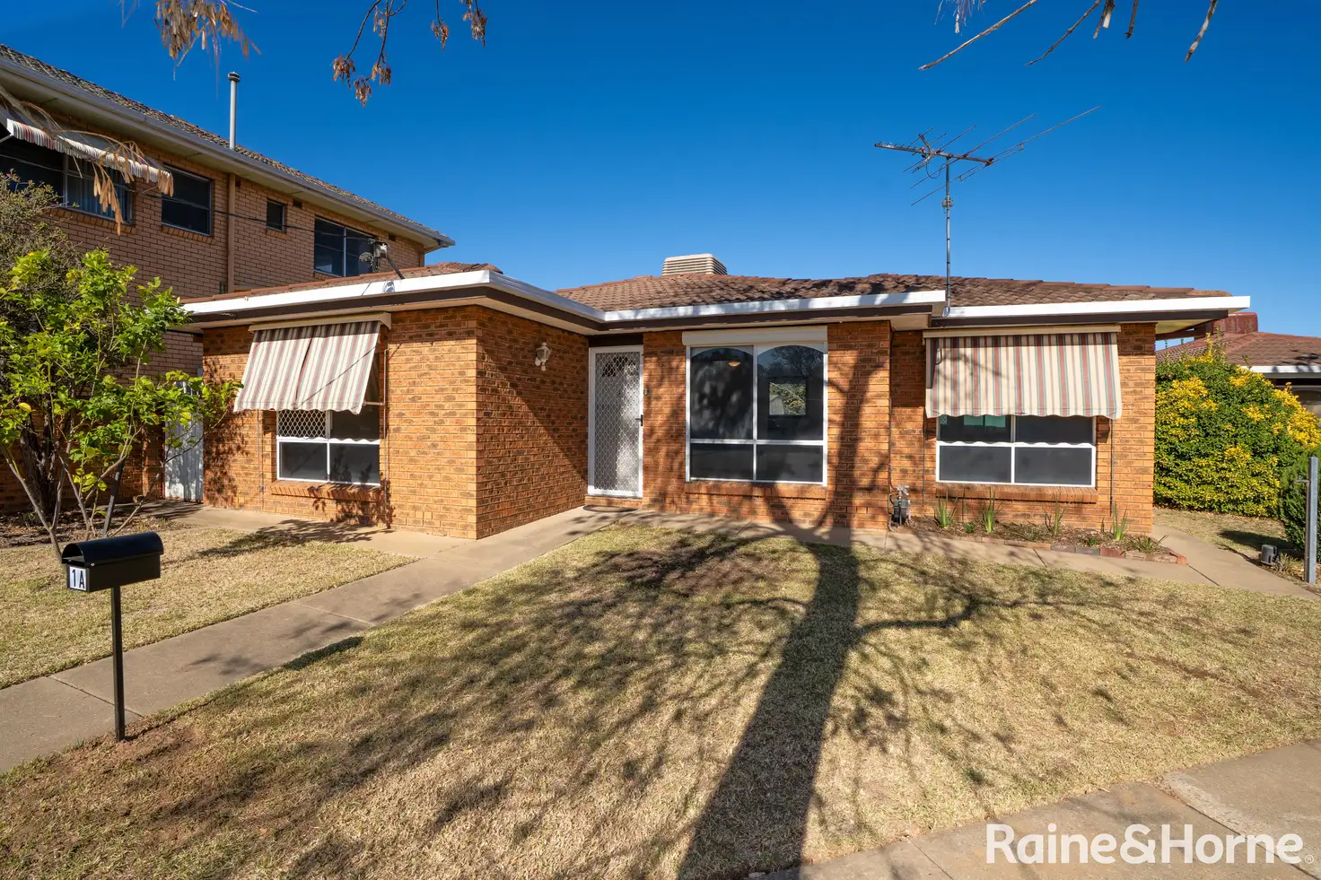 Main view of Homely house listing, 1A Nilma Avenue, Mount Austin NSW 2650