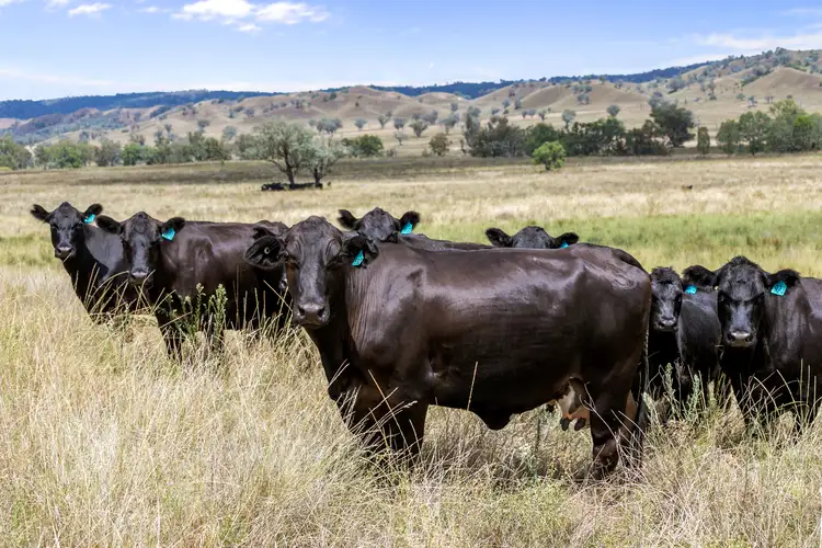 Spring Hill 5108 Cobbadah Road, Bingara NSW 2404