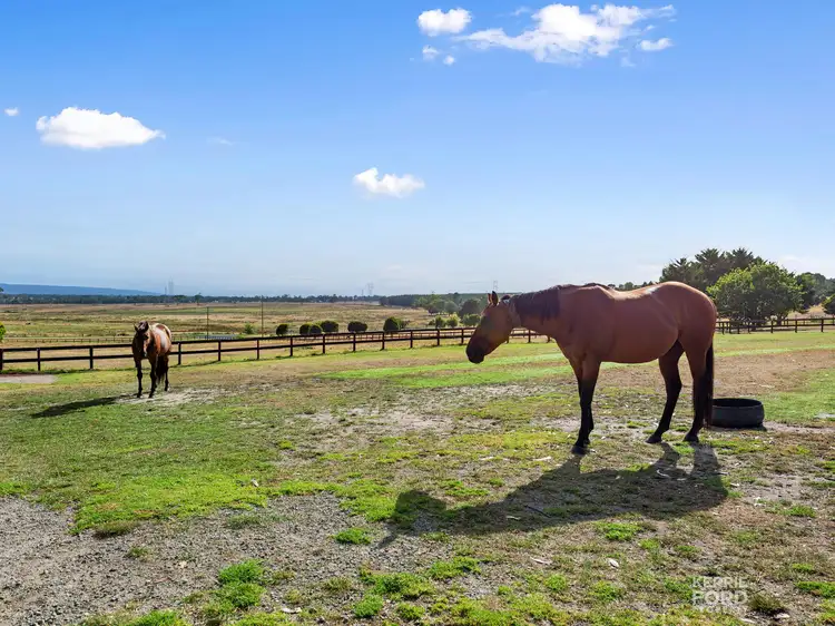 Fourth view of Homely house listing, 20 Meles Road, Hazelwood North VIC 3840
