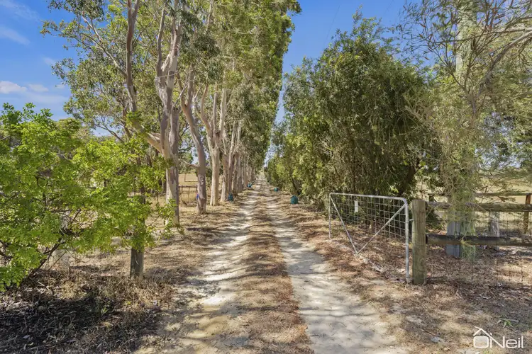 Second view of Homely house listing, 1233 Karnup Road, Serpentine WA 6125