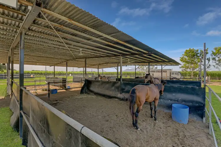 Third view of Homely house listing, 628 Shirbourne Road, Shirbourne QLD 4809