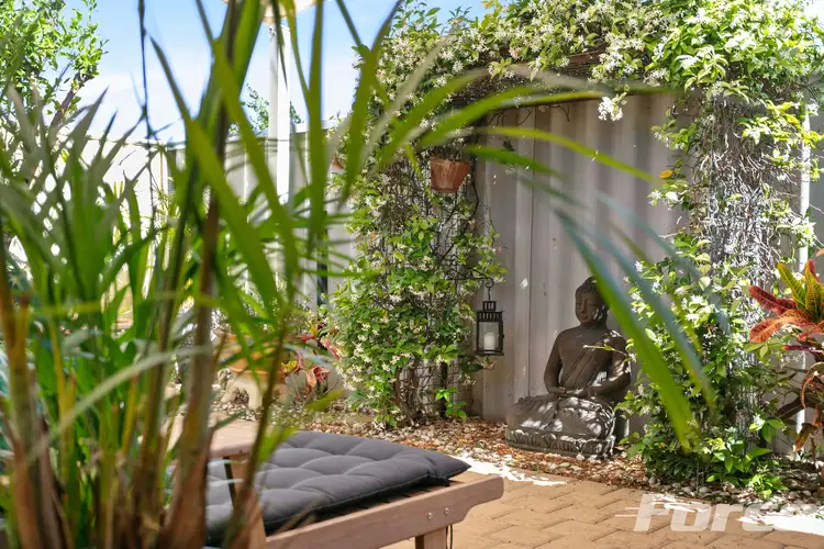 16c Radalj Place, Balcatta WA 6021
