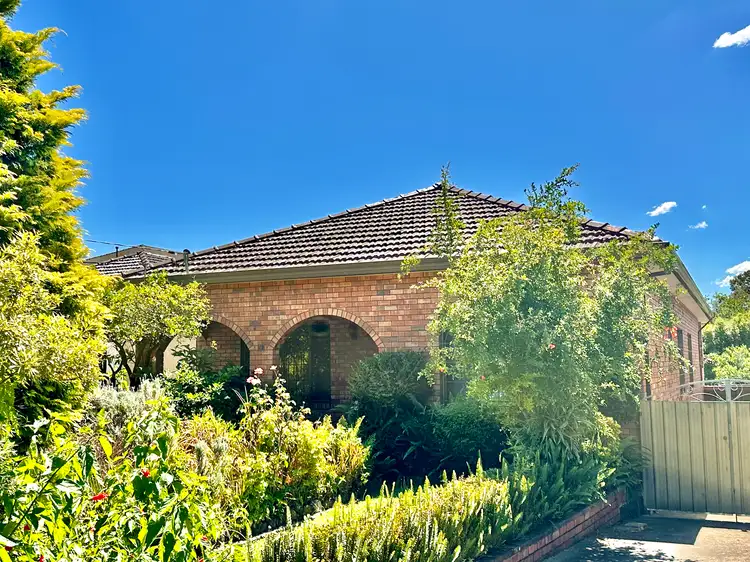 51 Albert Crescent, Burwood NSW 2134