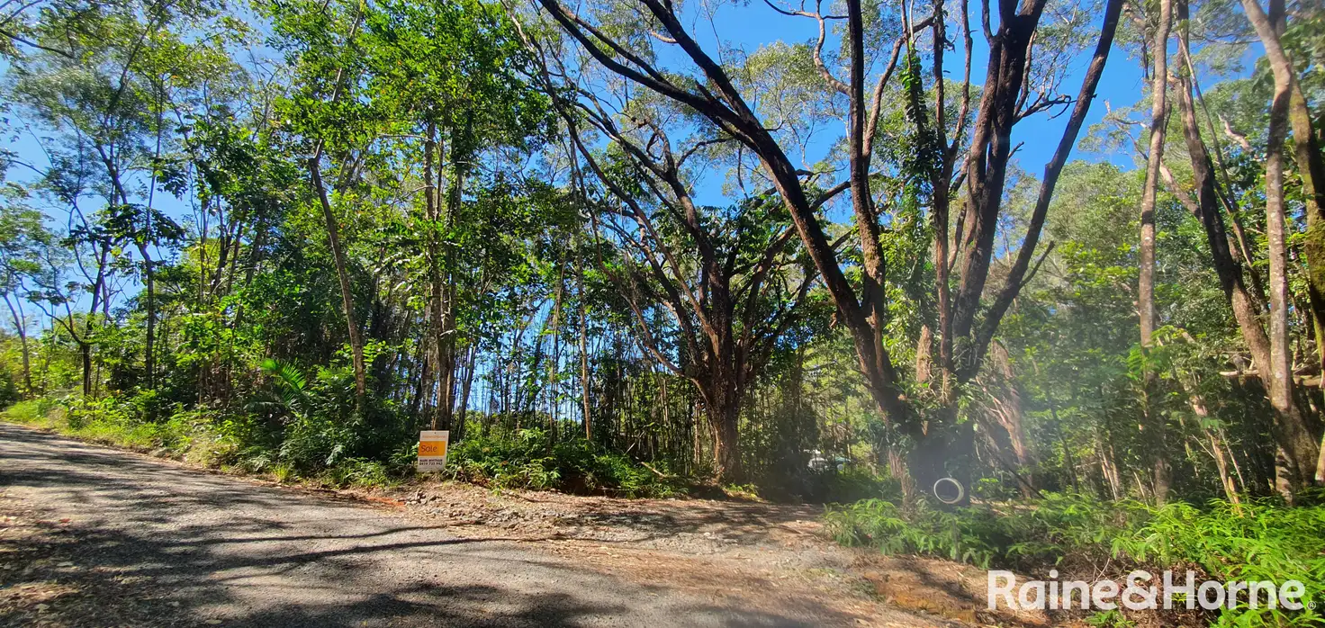 Main view of Homely land listing, Lot 54 George Road, Forest Creek QLD 4873