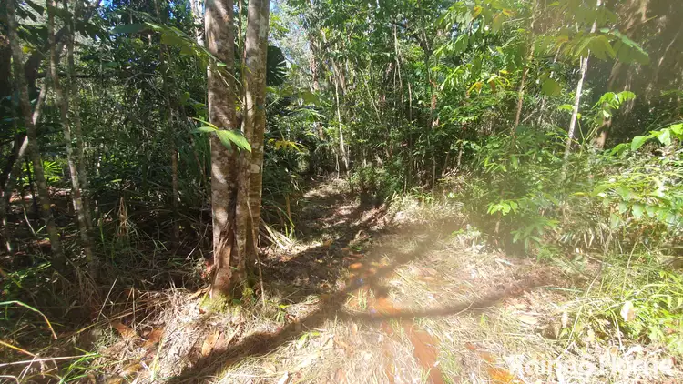 Fourth view of Homely land listing, Lot 54 George Road, Forest Creek QLD 4873