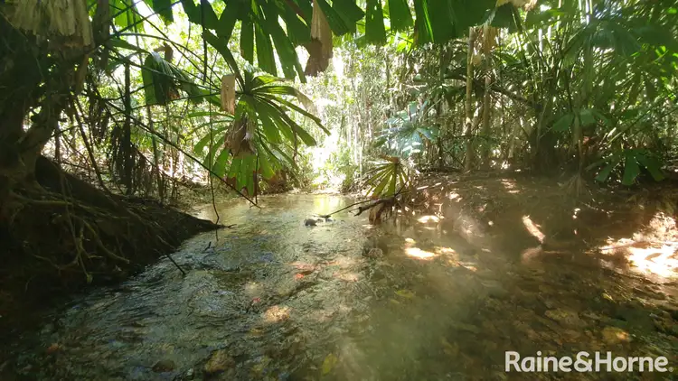 Sixth view of Homely land listing, Lot 54 George Road, Forest Creek QLD 4873