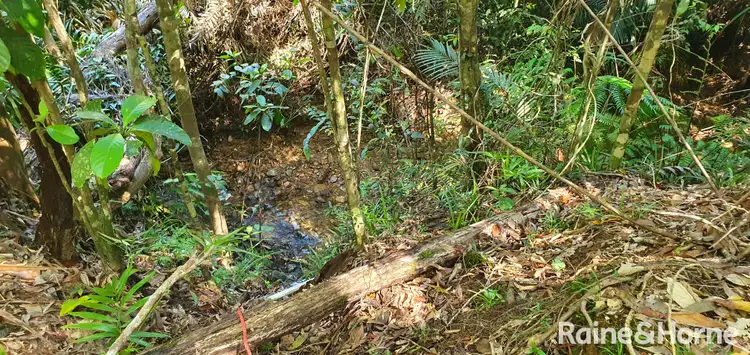 Seventh view of Homely land listing, Lot 54 George Road, Forest Creek QLD 4873