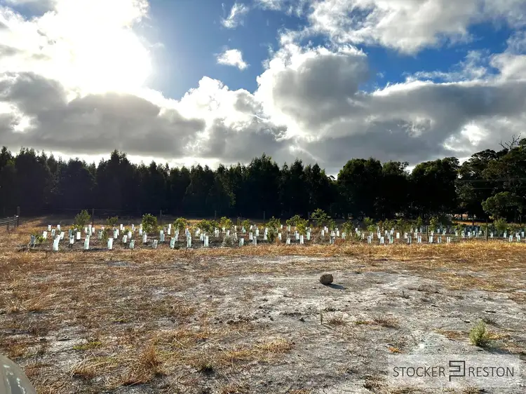 Fourth view of Homely land listing, 14 McManus Circuit, Witchcliffe, Margaret River WA 6285