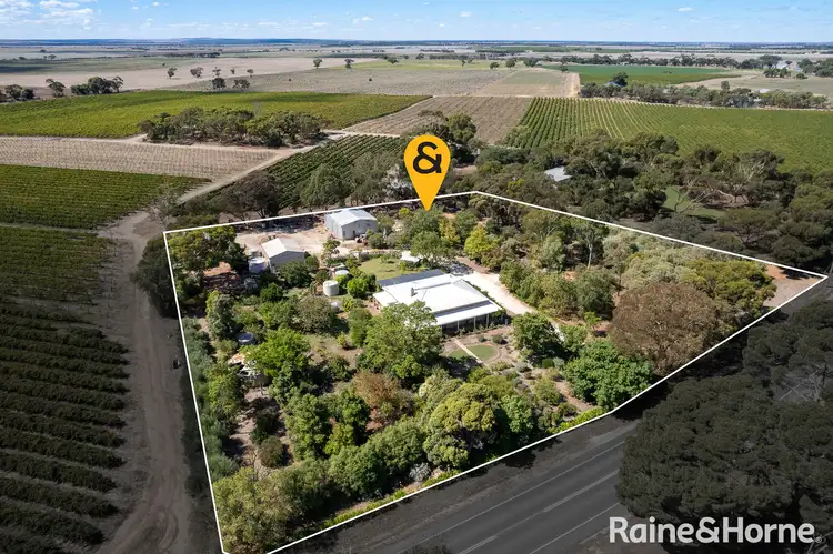 Main view of Homely house listing, 1811 Langhorne Creek Road, Langhorne Creek SA 5255