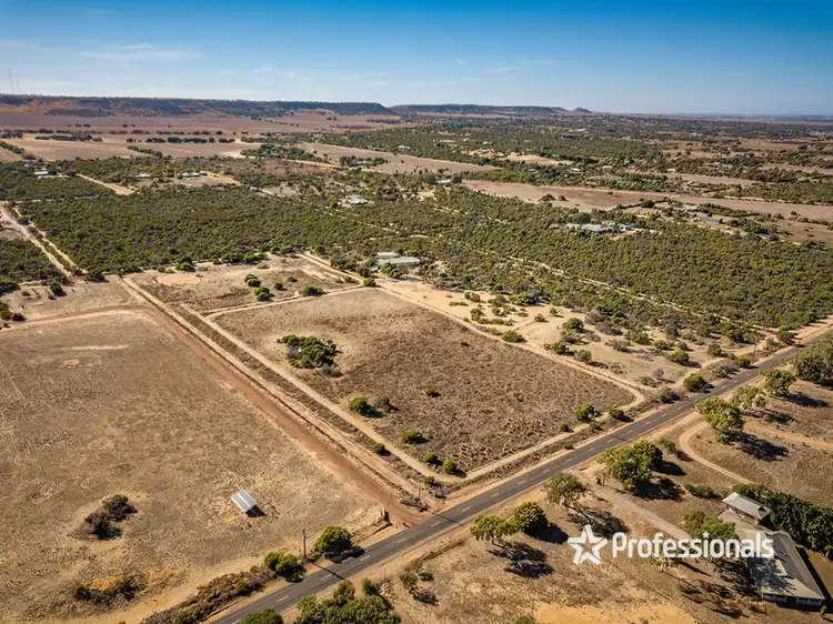 Second view of Homely land listing, Lot 12 Hall Road, Waggrakine WA 6530