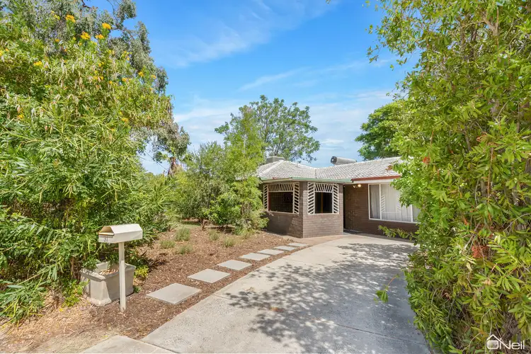 31 Windarra Way, Armadale WA 6112