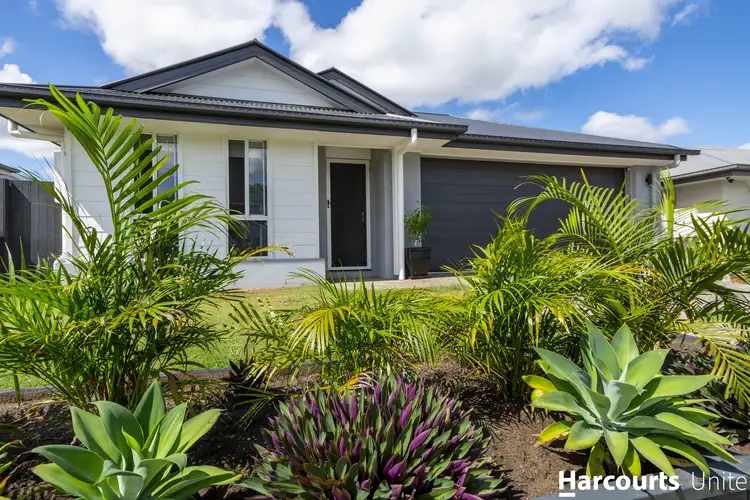 37 Hinchinbrook Circuit, Morayfield QLD 4506