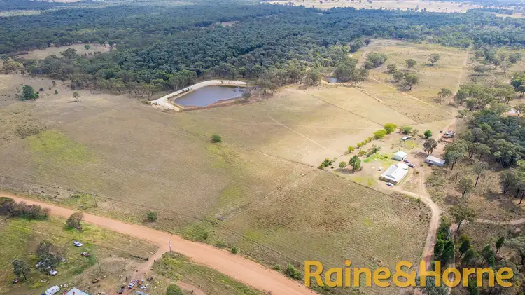 Main view of Homely rural property listing, 558 Patrick Road, Dunedoo NSW 2844