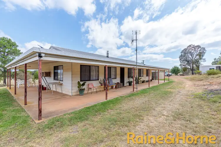 Third view of Homely rural property listing, 558 Patrick Road, Dunedoo NSW 2844